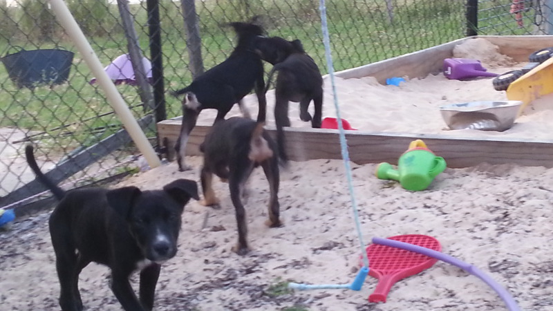 Day 16 Exploring the sandpit