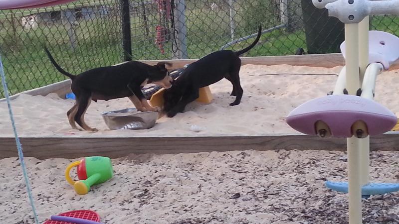 Day 16 Exploring the sandpit