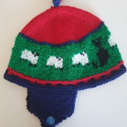 Red beanie, Black dog