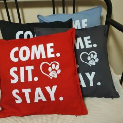 Cushions Sit All
